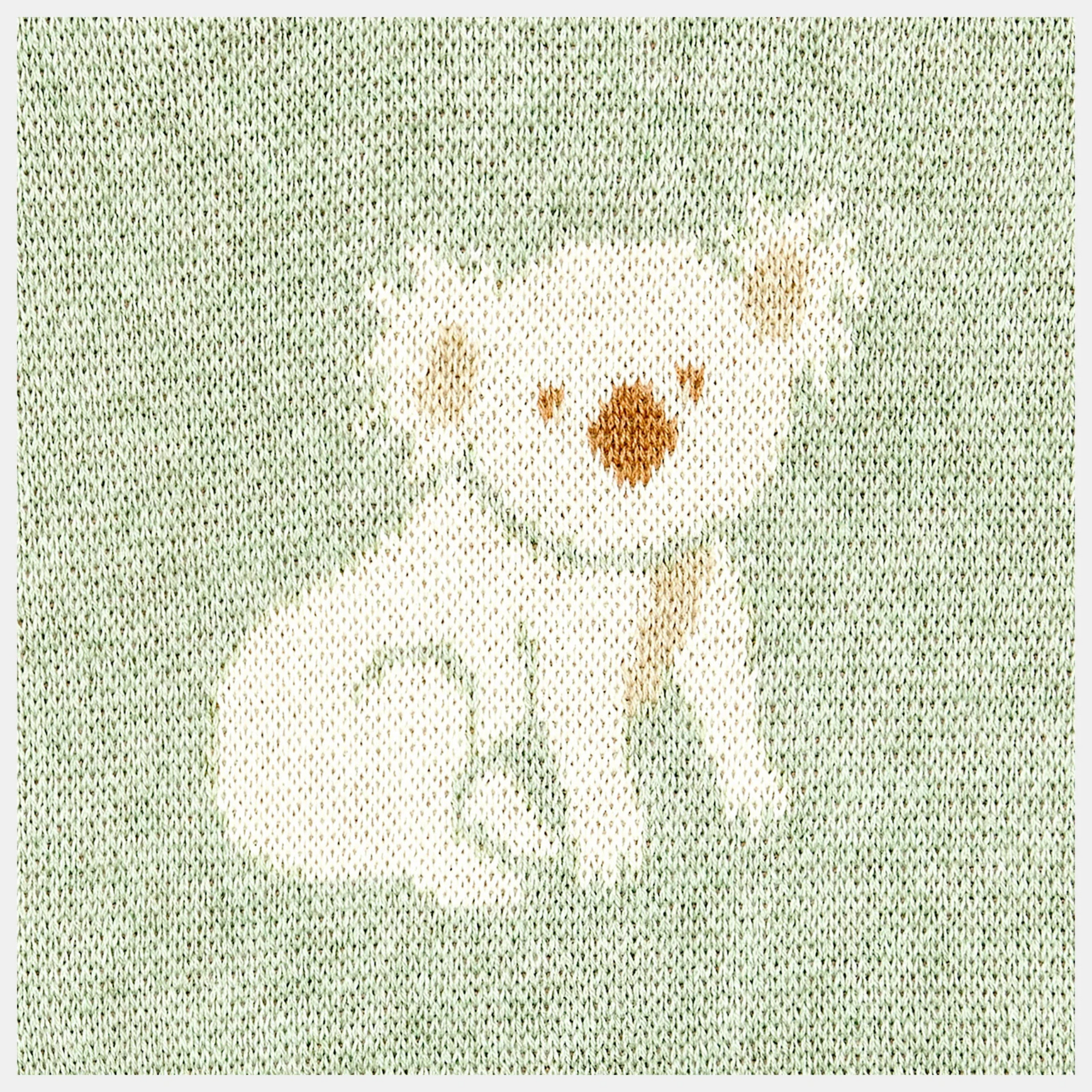 Toshi Organic Blanket Storytime - Koala