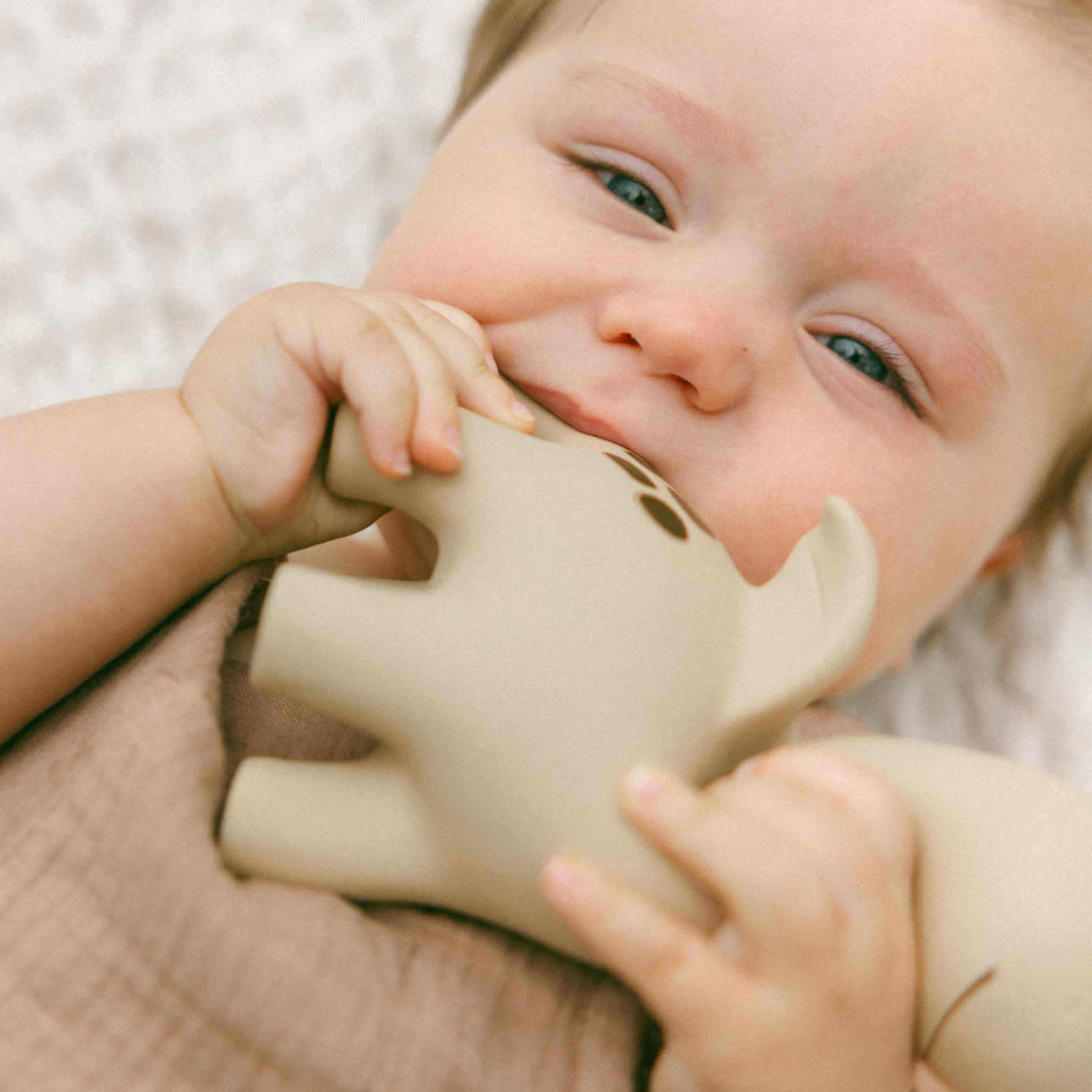 Diplo the Dino-Dragon Natural Rubber Teether: Brown