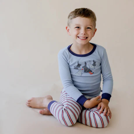 Marquise Boys Pyjama Set - Bunny/Stripe