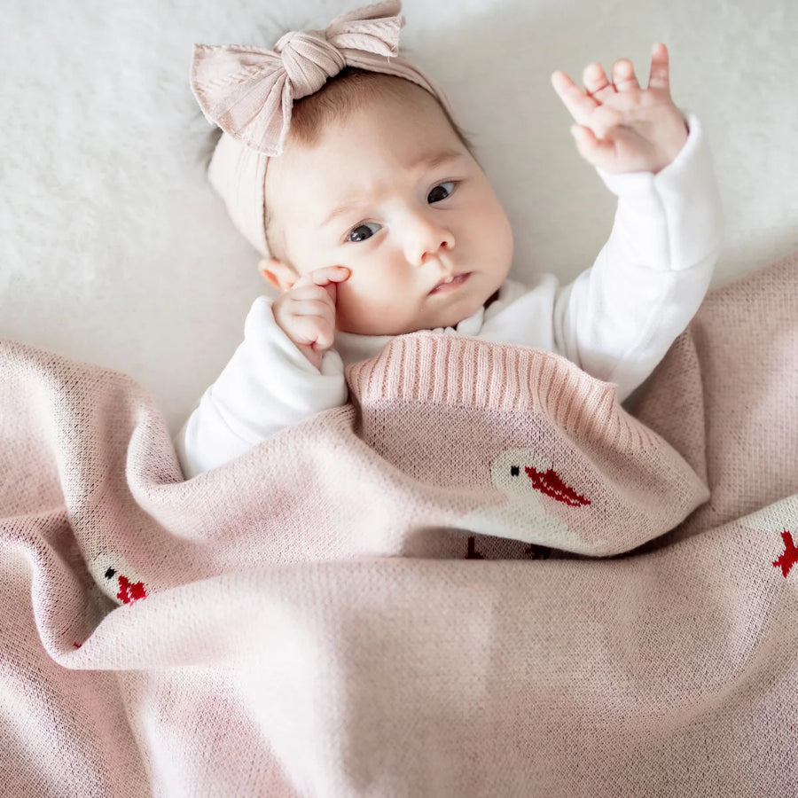 Di Lusso Little Quacks Baby Blanket
