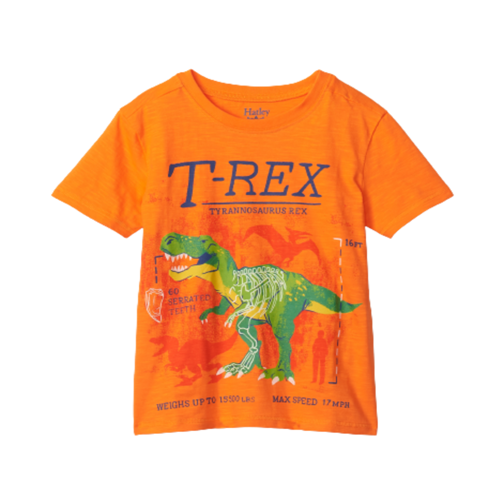 Hatley T-Rex Glow In The Dark Graphic Tee - Oriole