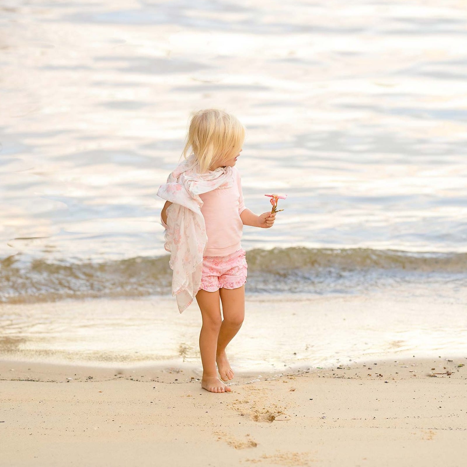 Toshi Dreamtime Organic Tee Short Sleeve Logo - Petal