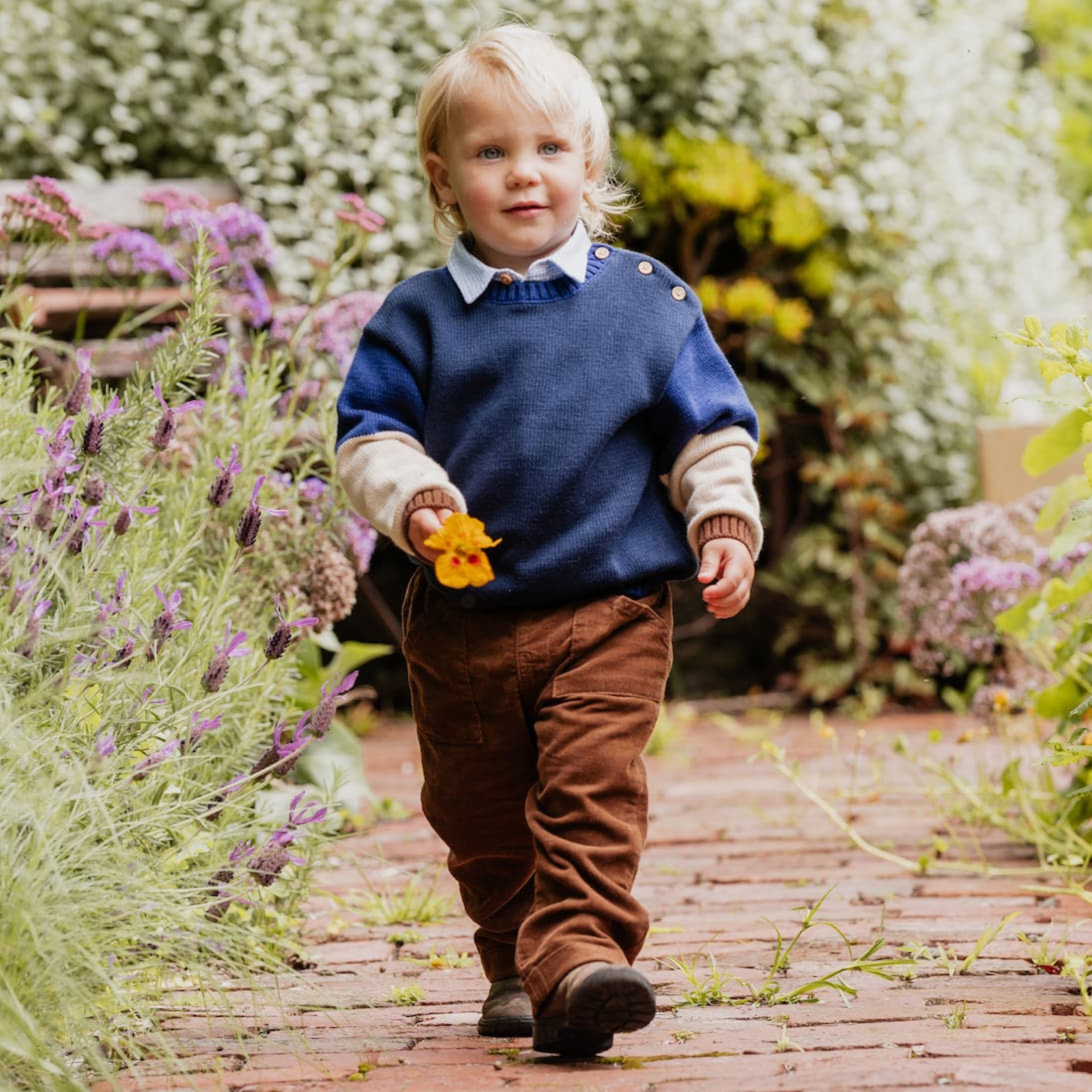 Bebe Jake block knitted jumper - Multi