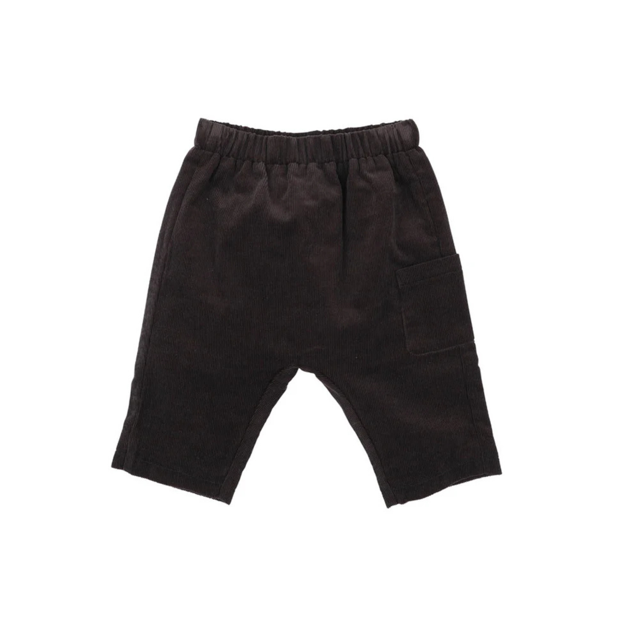Bebe Otto Cord Pull On Pants