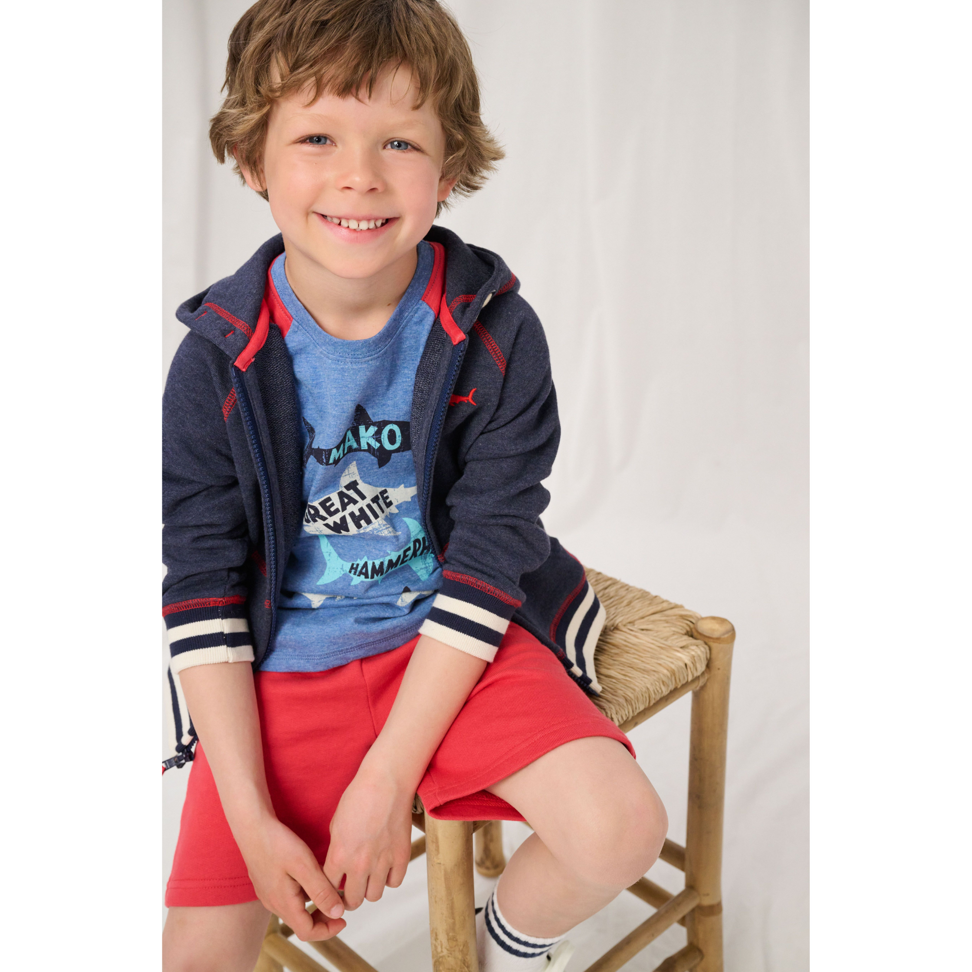 Hatley Lots Of Sharks Raglan Tee - Nautical Melange