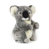 Korimco Kalypso Koala Soft/Plush Toy - 28cm