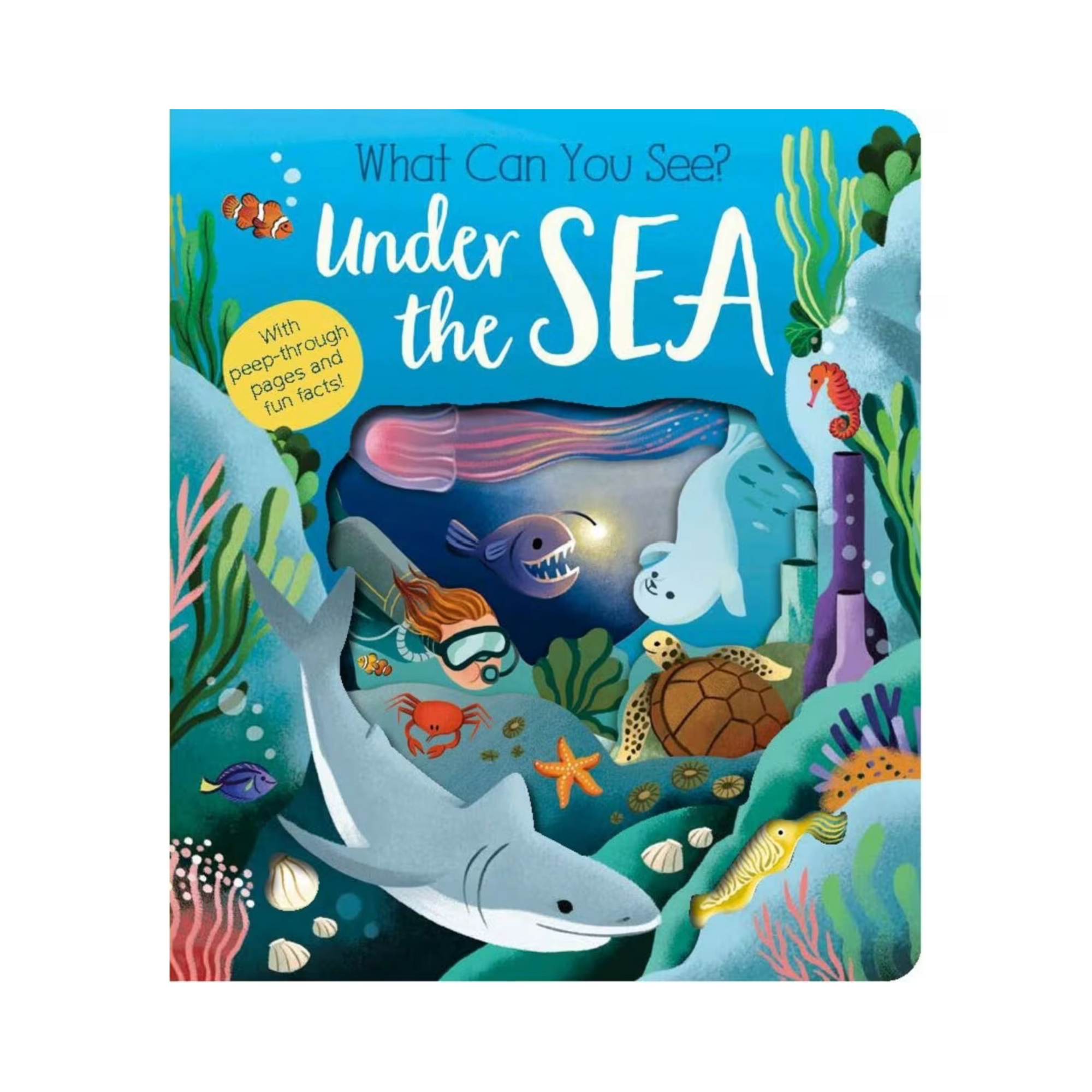 What Can You See Under the Sea? - Book