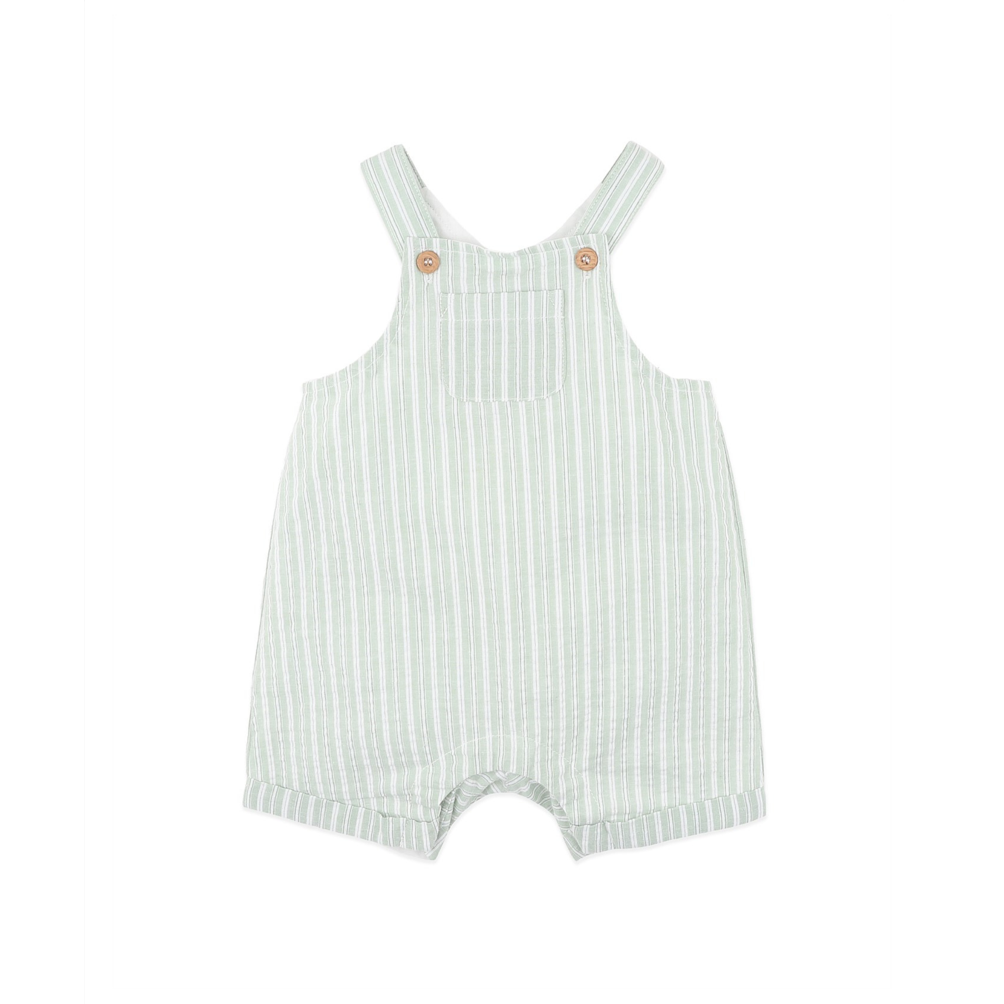 Green Stripe Evan Overalls