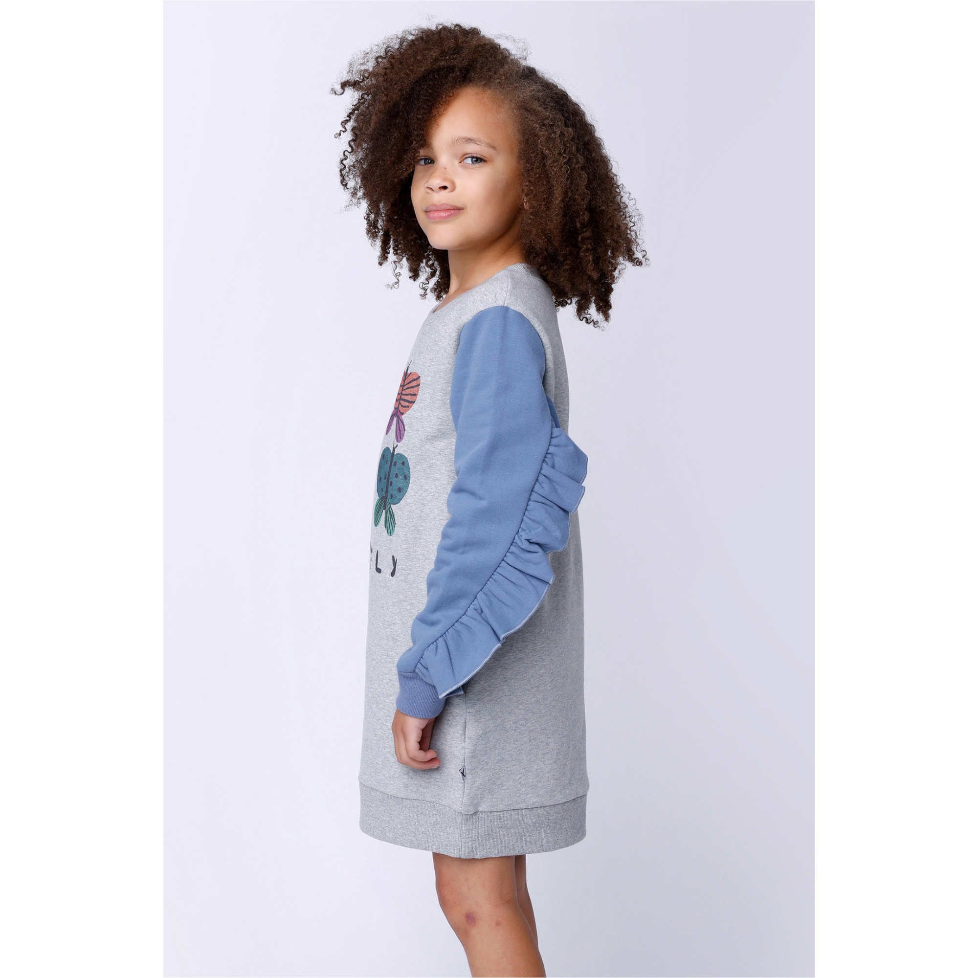 Minti Lovely Butterflies Furry Dress - Grey Marle/Blue