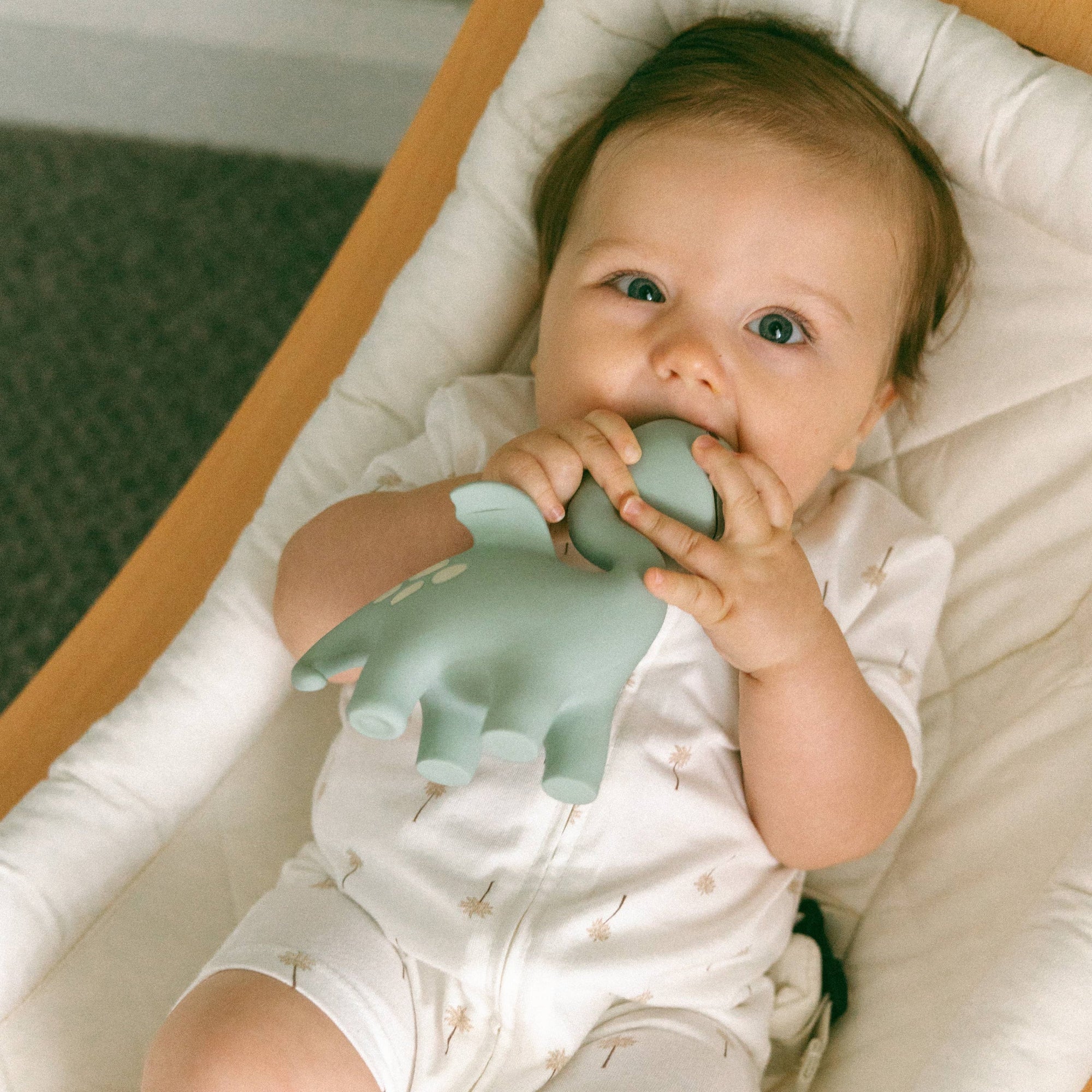 Diplo the Dino-Dragon Natural Rubber Teether: Sage