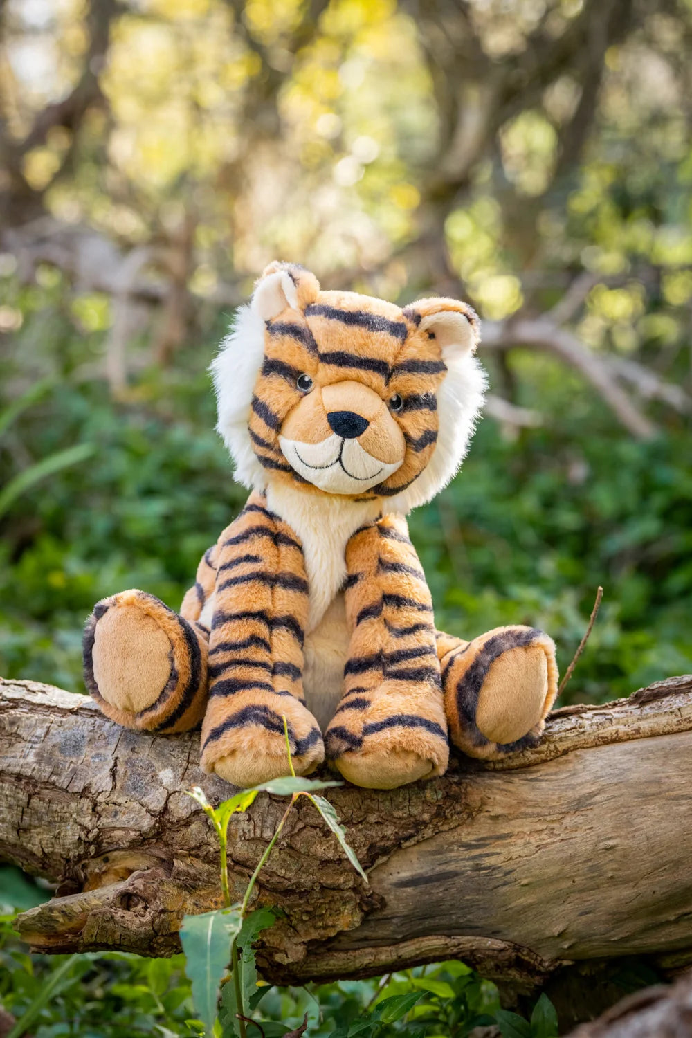 Nana Huchy Tesh the Tiger