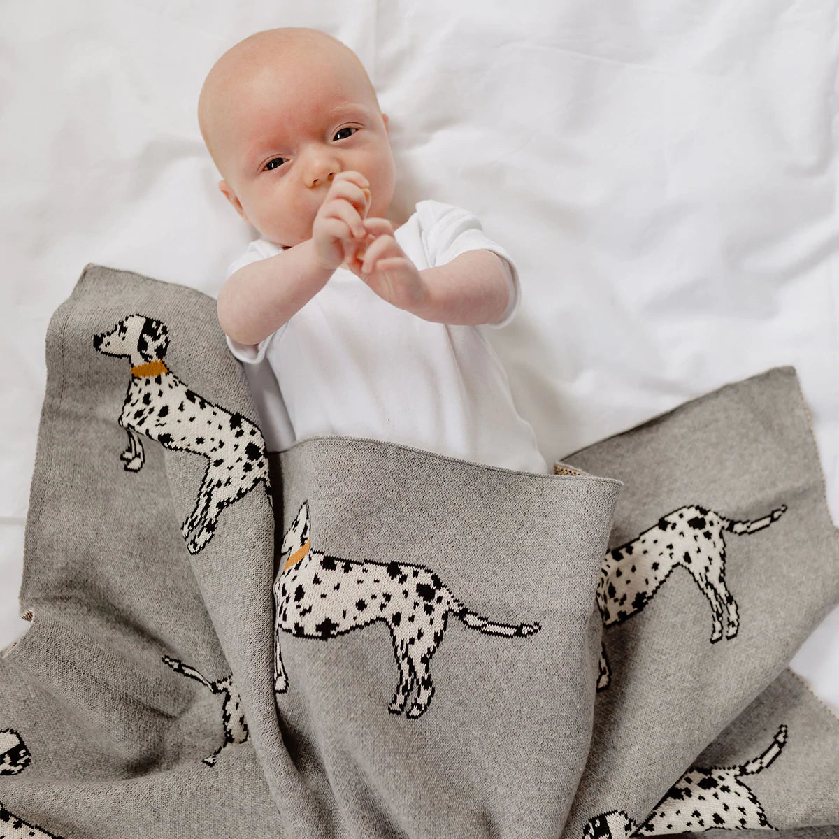 Di Lusso Scotty Baby Blanket
