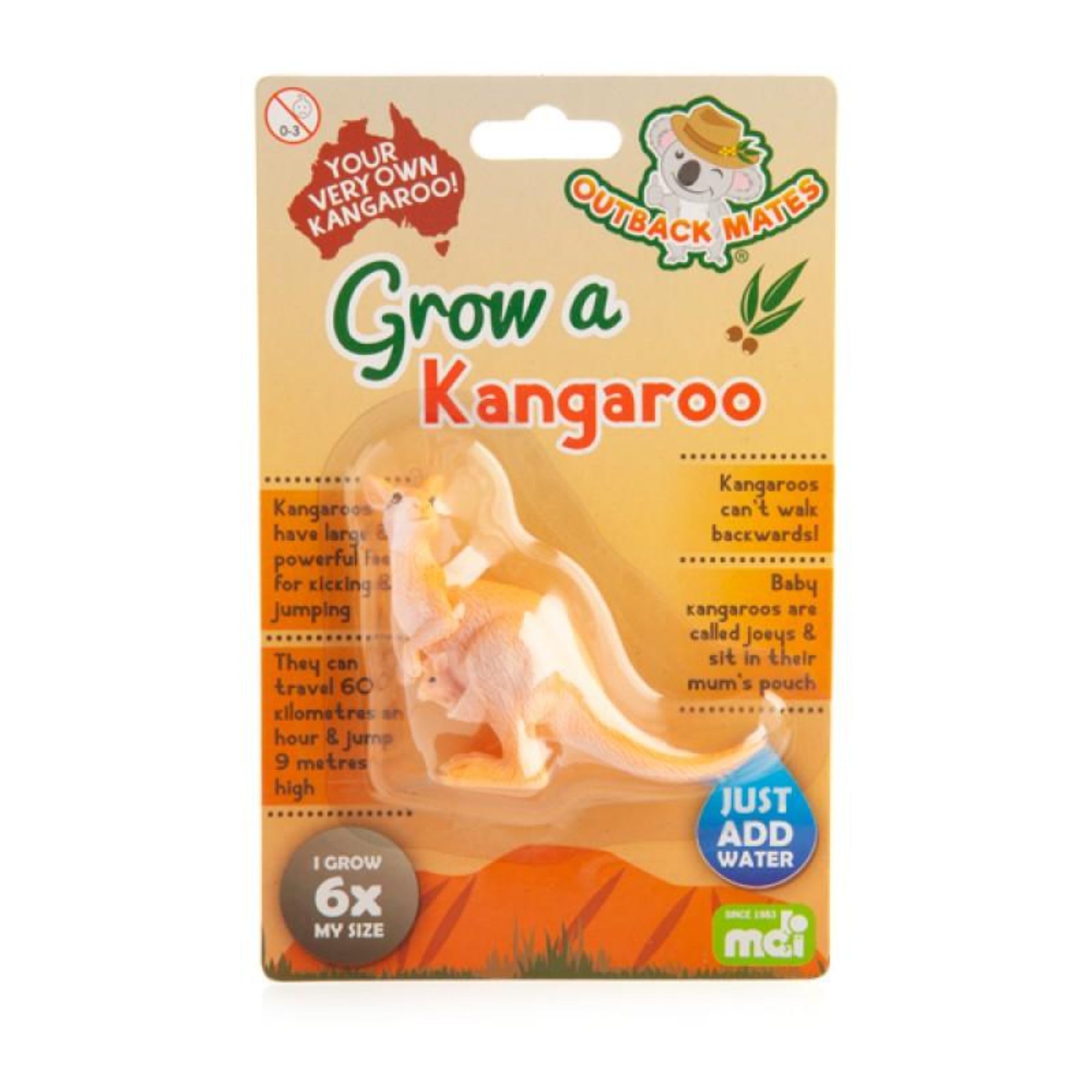 Grow A Kangaroo - Art & Craft Kits - MDI