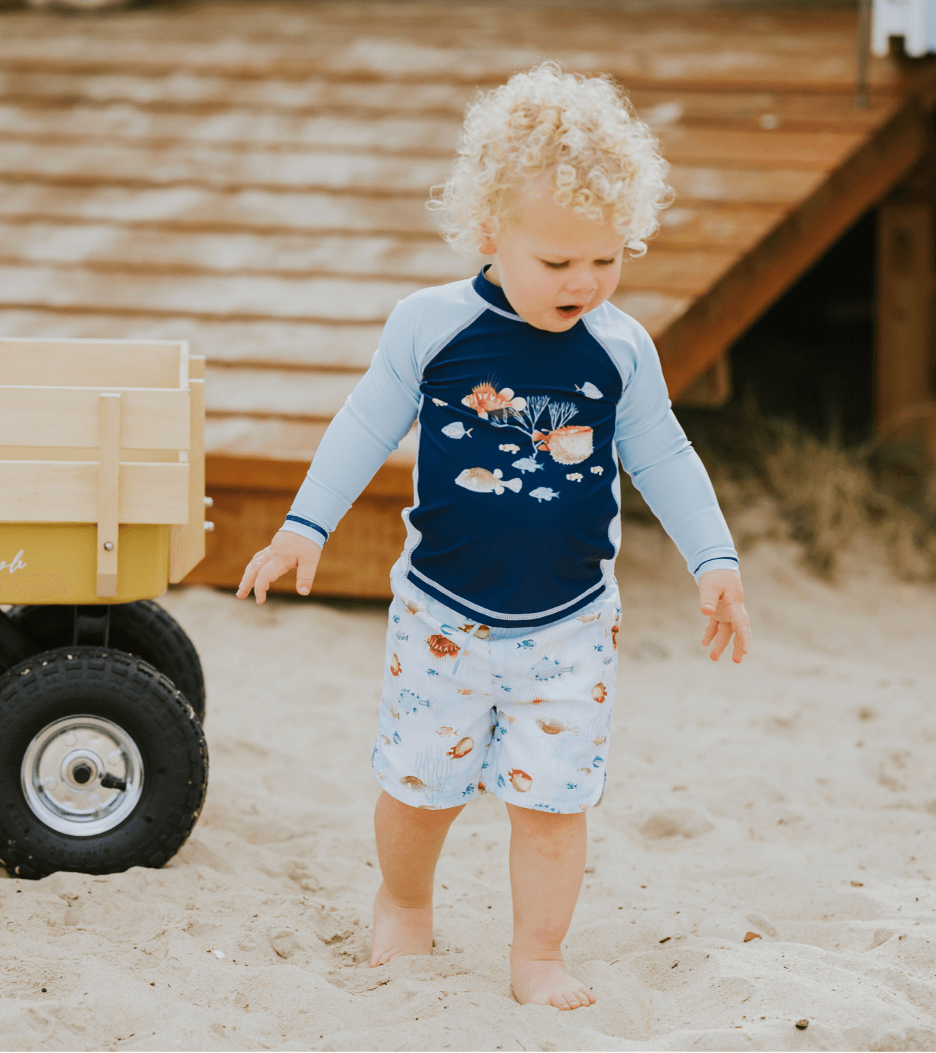 Canterbury board shorts sales