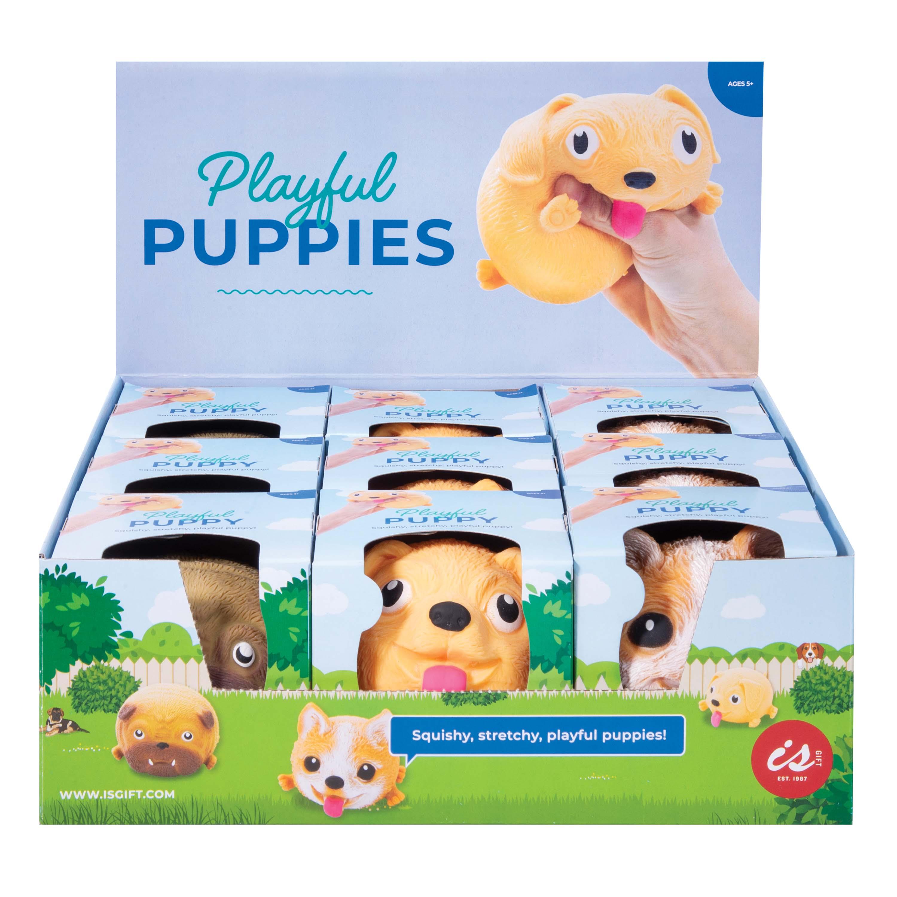 Playful store puppy toy